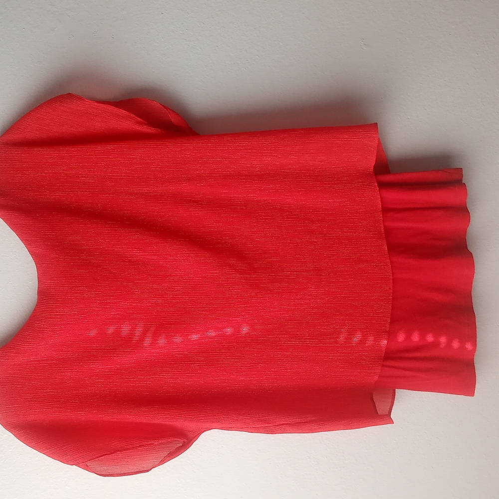 Express short sleeve Top w/overlay - Picture 4 of 8